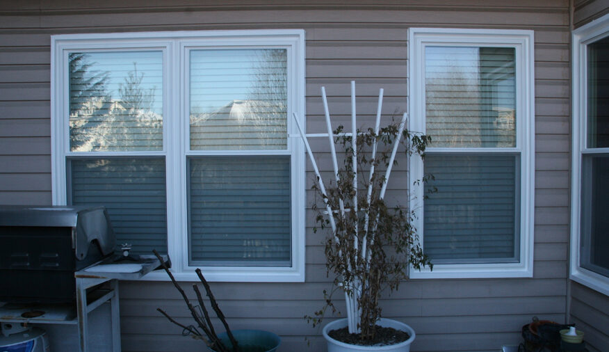 white-replacement-windows-rockville-md-thompson-creek